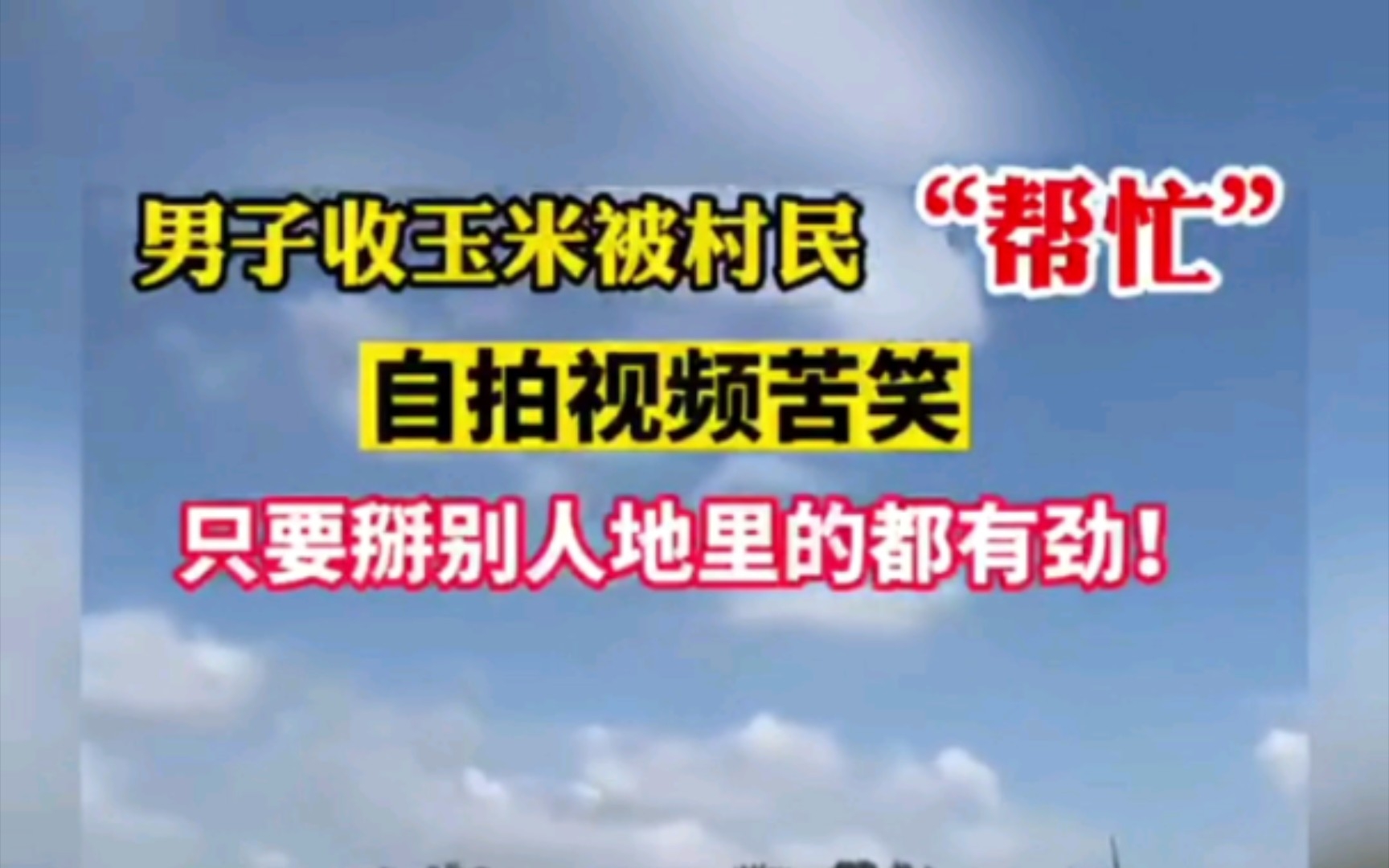 河南驻马店网友拍视频称:自家地里收玉米,被村民“帮忙”哔哩哔哩bilibili