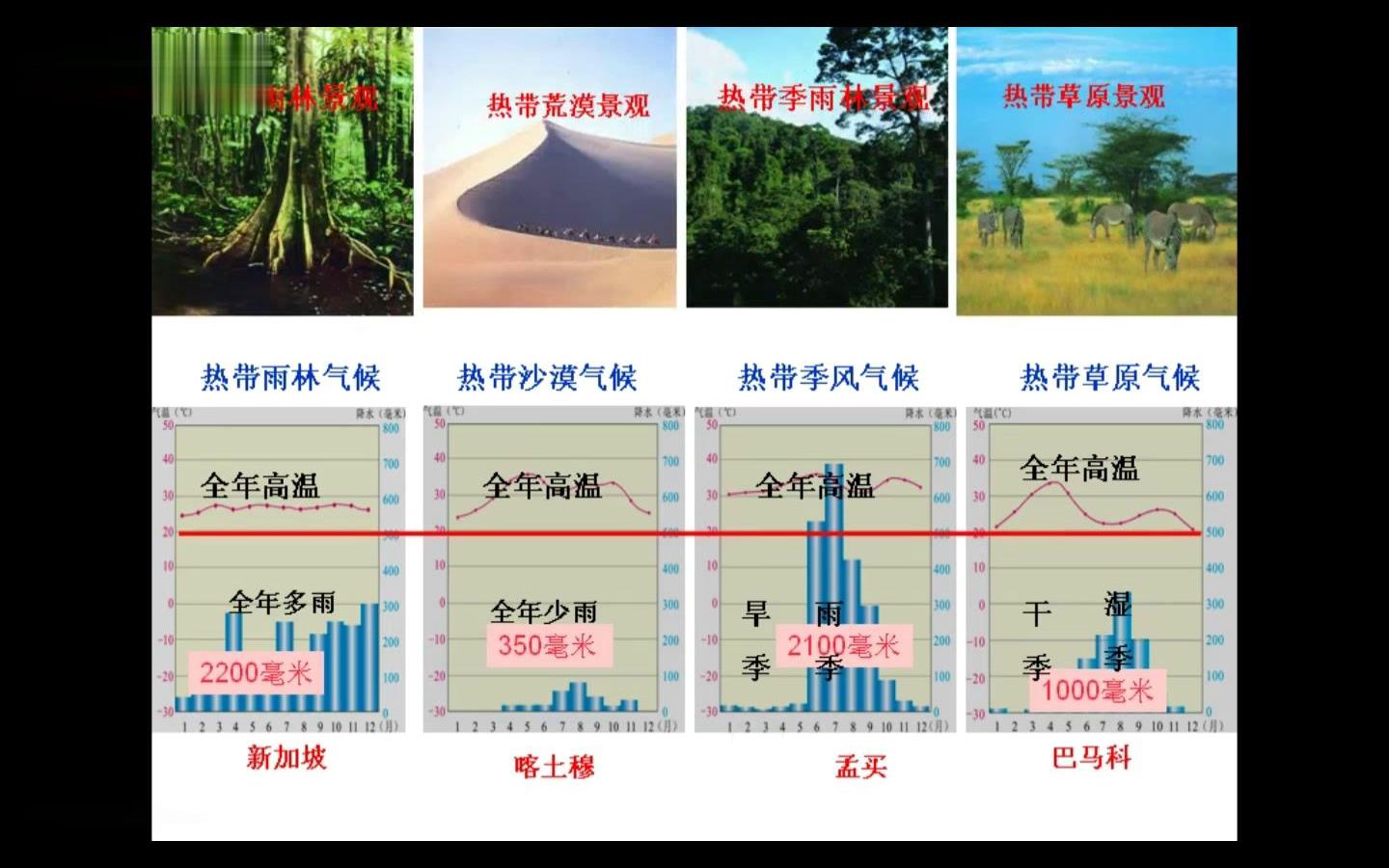 热带气候、雨林、沙漠、季风、草原气候、特征与分布(6分)哔哩哔哩bilibili