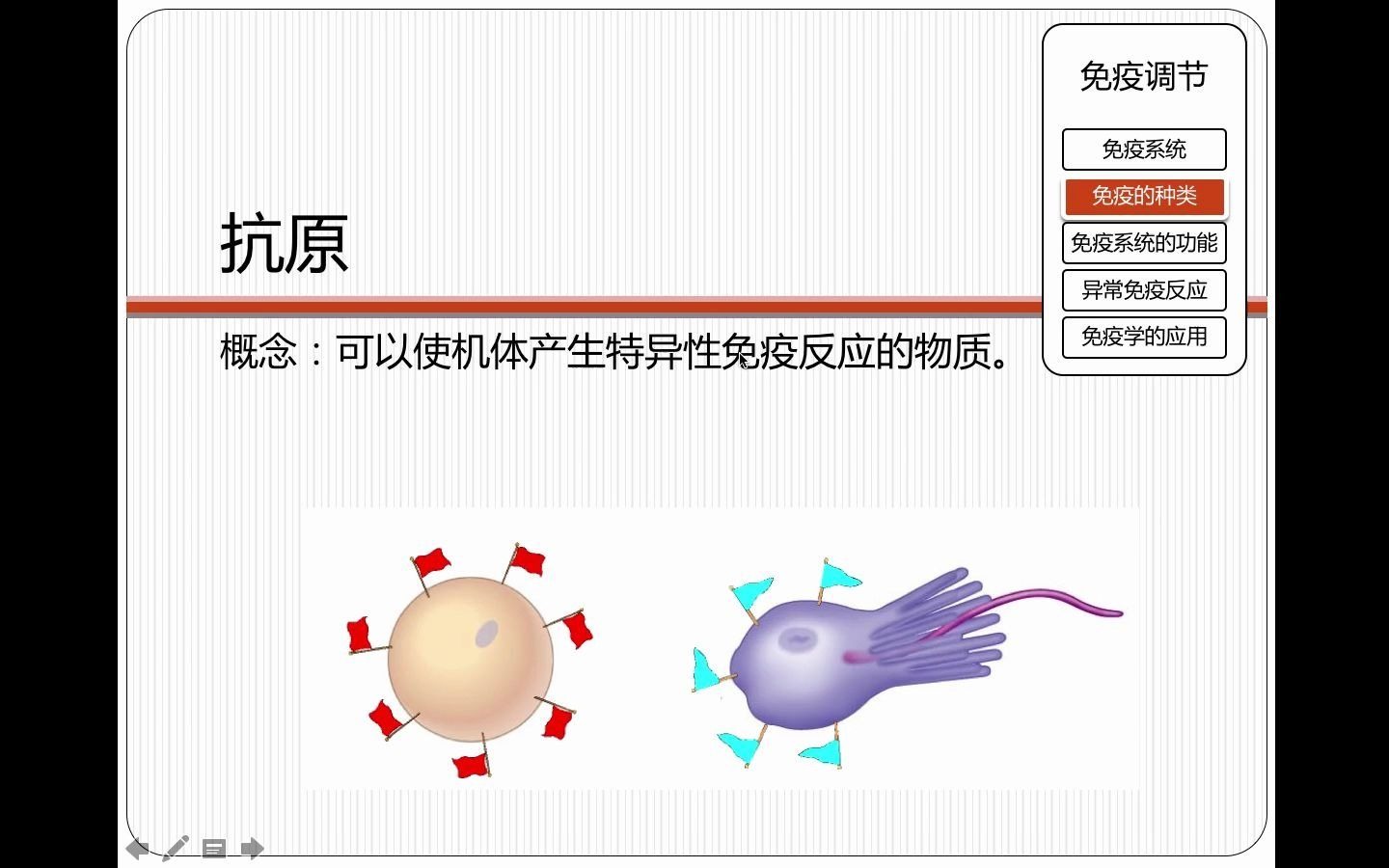 十三風十三高中生物體液免疫