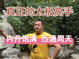 Tải video: 真正内家拳高手，内丹饱满！炁通周天！如果你是个干瘪的老头，就不要吹你懂内家了！凡是干瘪的人都是炁不足！