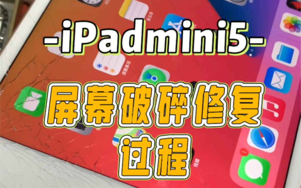 iPad mini5维修更换外屏,感谢粉丝的信任和支持!哔哩哔哩bilibili