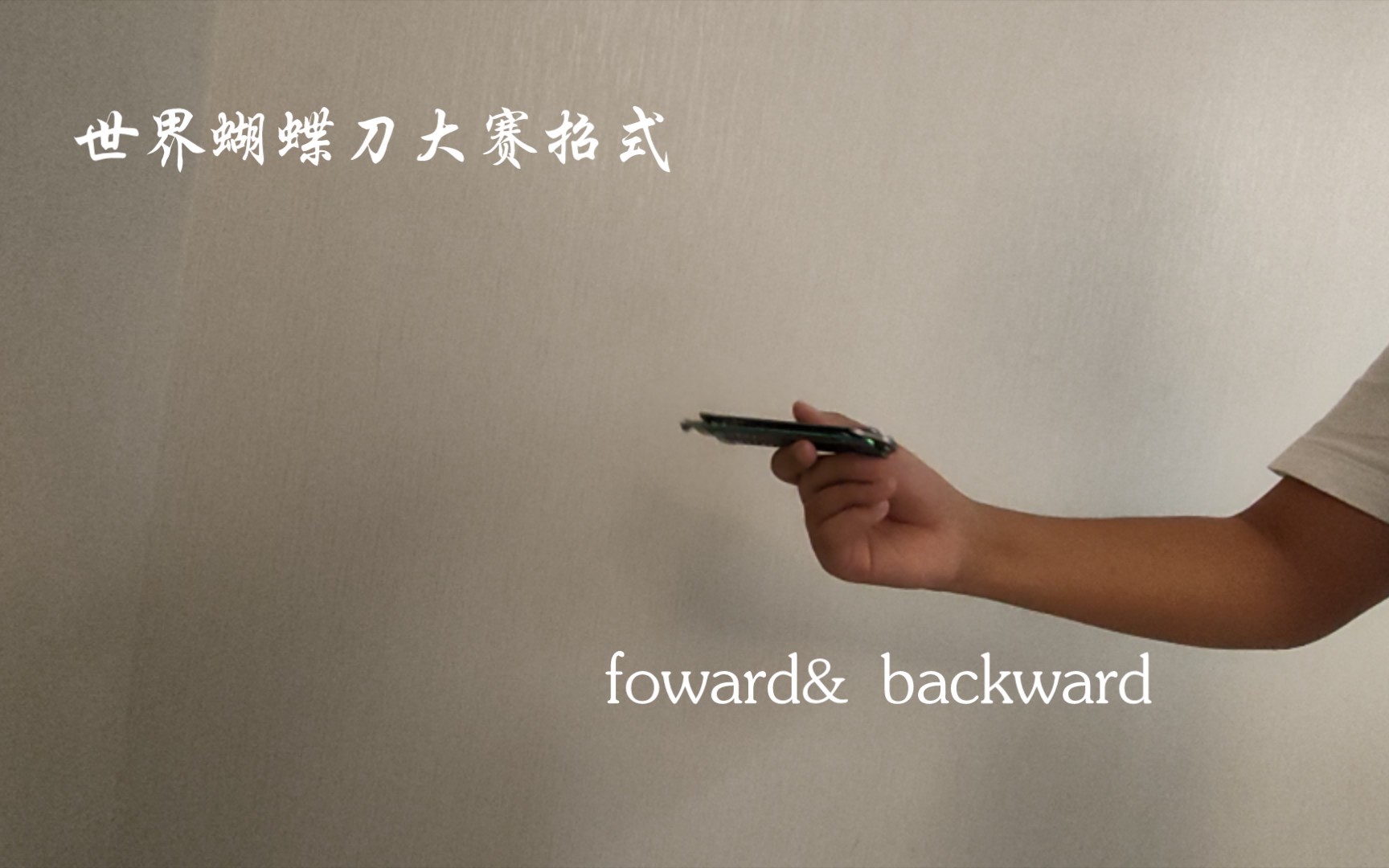 蝴蝶刀世界大赛连招foward&backword哔哩哔哩bilibili