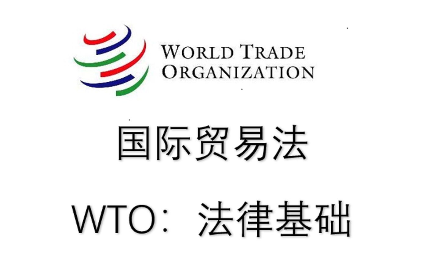 WTO之法律基础 /WTO远程学习课堂/国际法/国际贸易法/世界贸易组织法/普法/生肉/慢速 适合听力哔哩哔哩bilibili