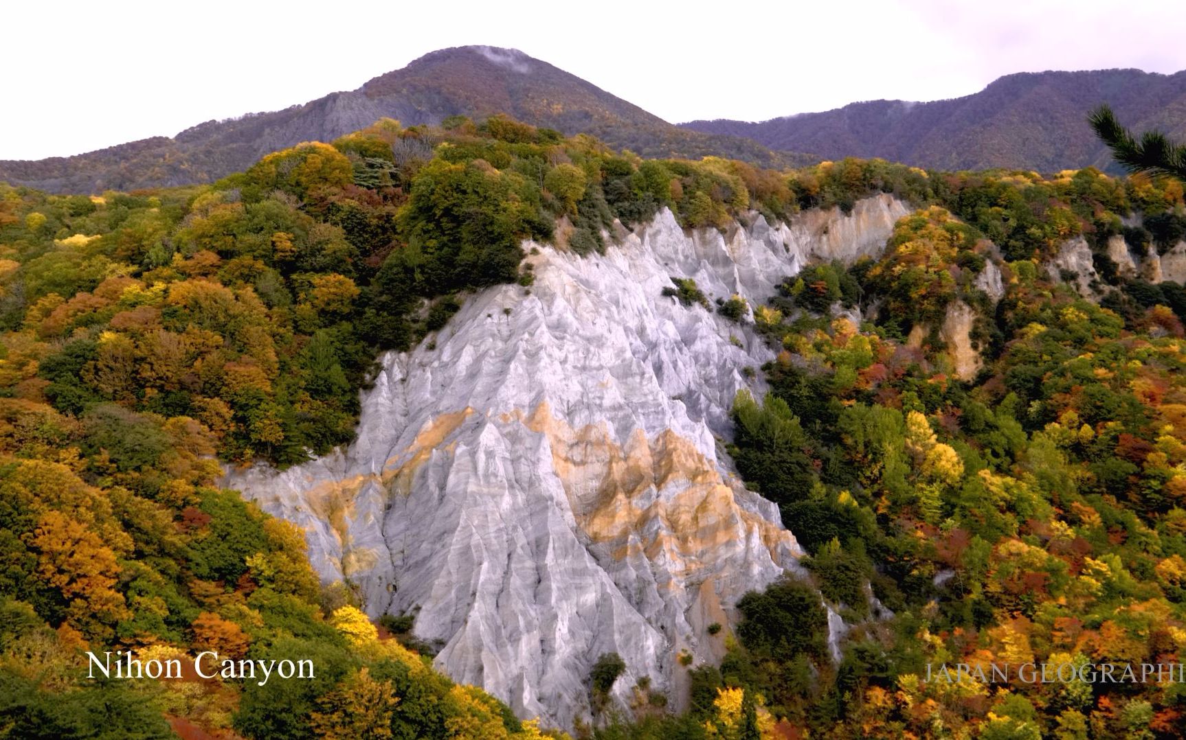 超清日本青森県99白神山地十二湖的秋天