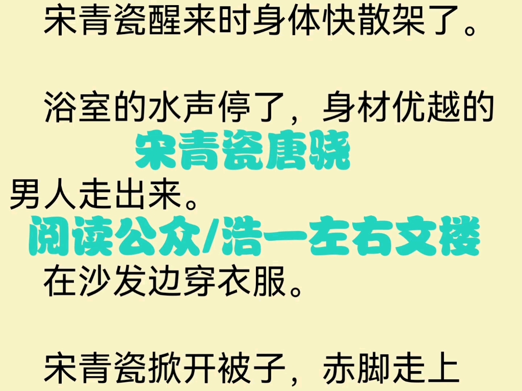 热门小说推荐《宋青瓷唐骁》又名《唐骁宋青瓷》哔哩哔哩bilibili