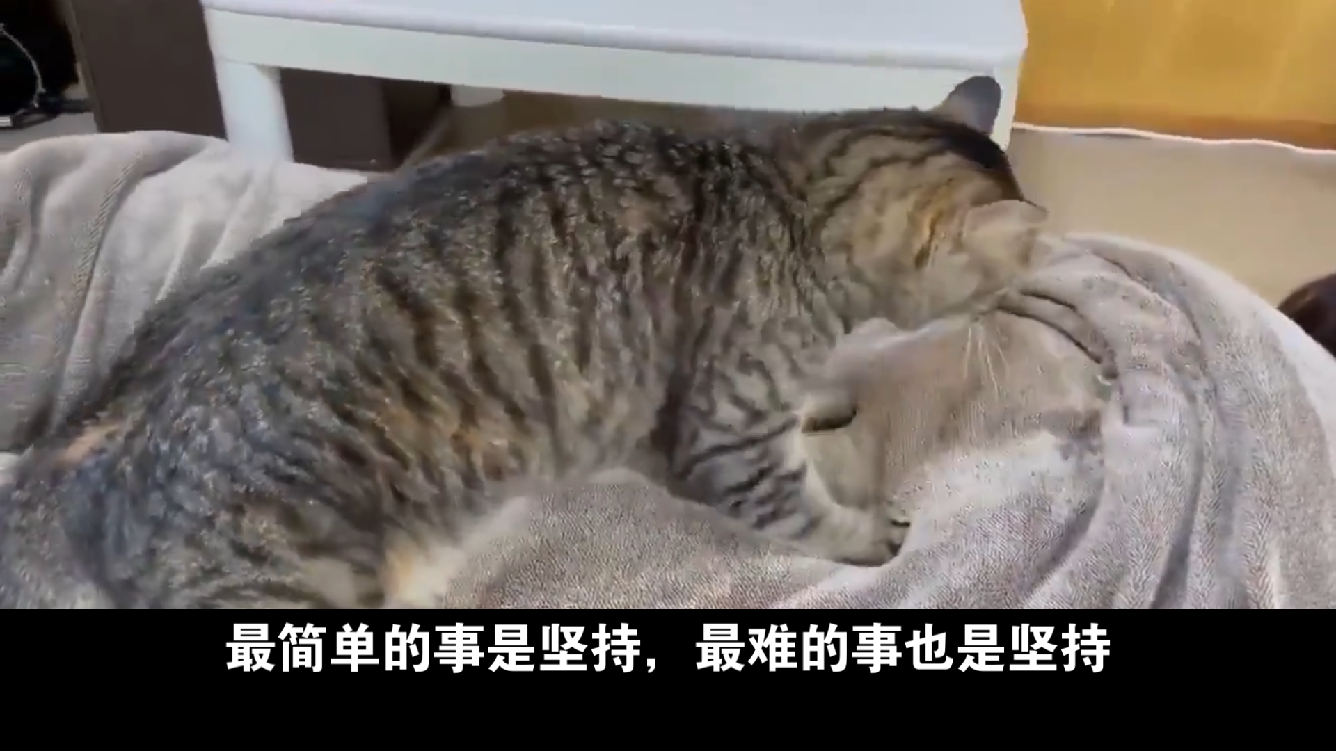 你需要回炉重造