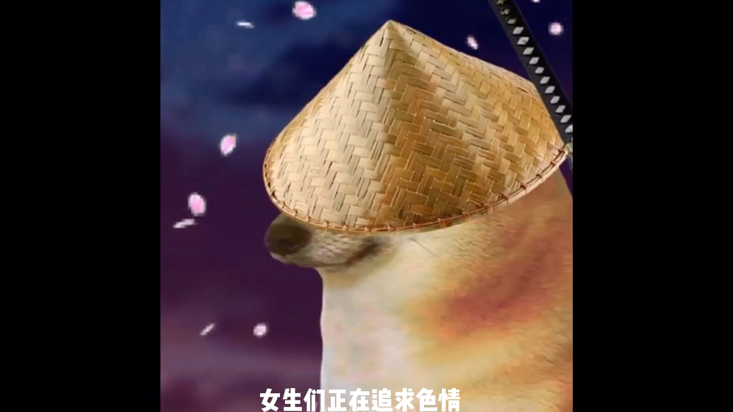 谷歌翻译20遍de谢谢你狗子