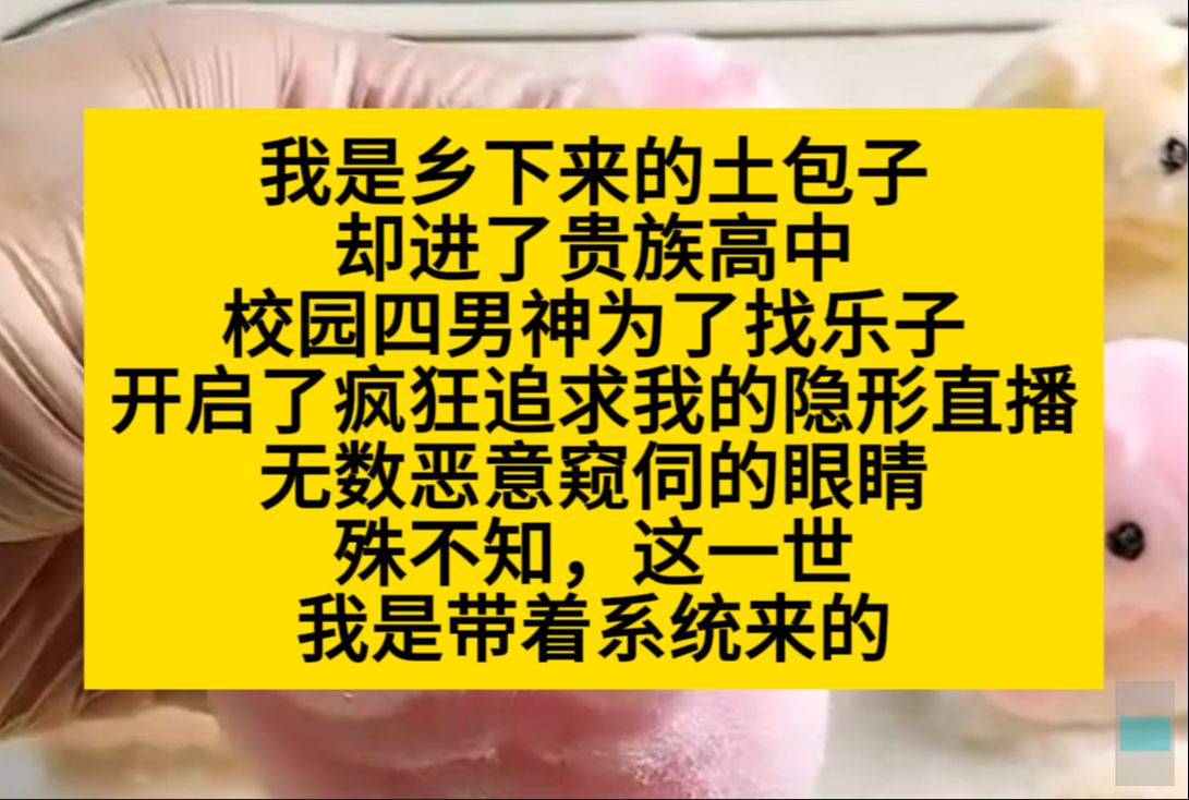 我是乡下来的土包子,却进了贵族学校,他们直播疯狂追求我,看我的乐子,可……小说推荐哔哩哔哩bilibili