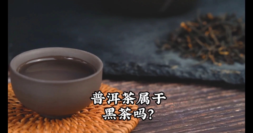 普洱茶属于黑茶吗?哔哩哔哩bilibili