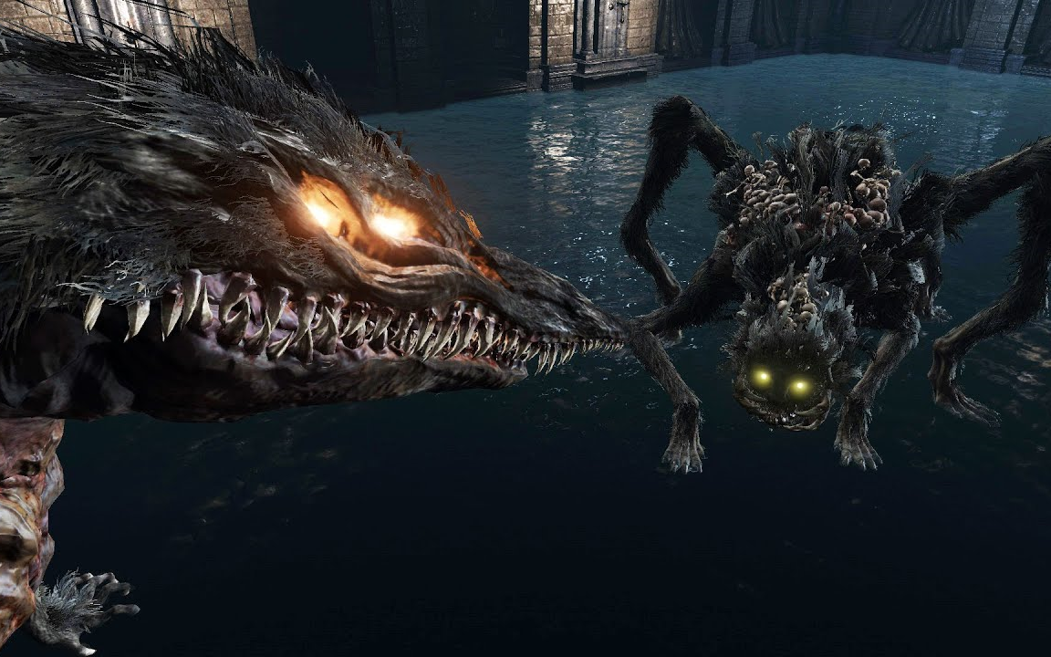 黑魂3 eve 下水道薪王 vs 幽邃诅咒者