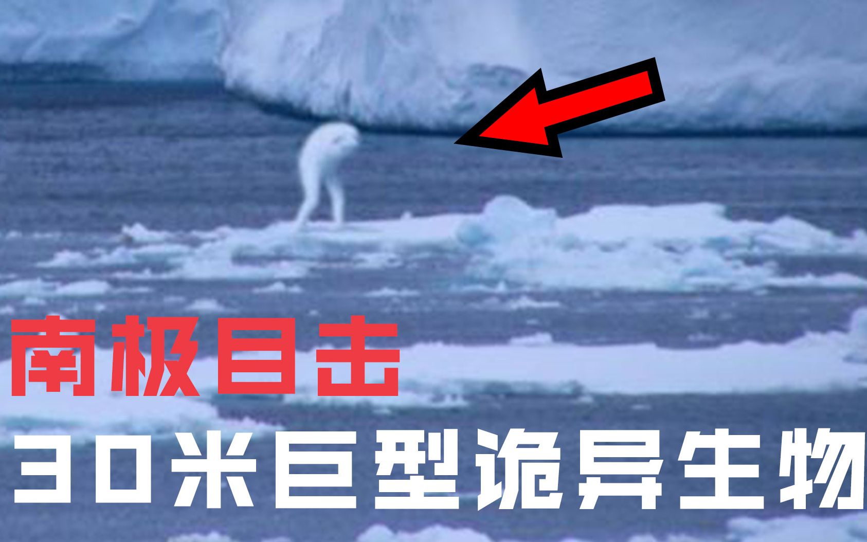 活动  南极诡异目击:冰层上惊现30米人造巨人?未解生物ningen之谜!