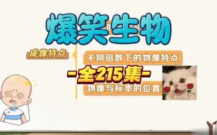 Download Video: 【小学 初中生物 全215集】七年级生物上下册 看动画学生物 暑期提前预习 开学逆袭