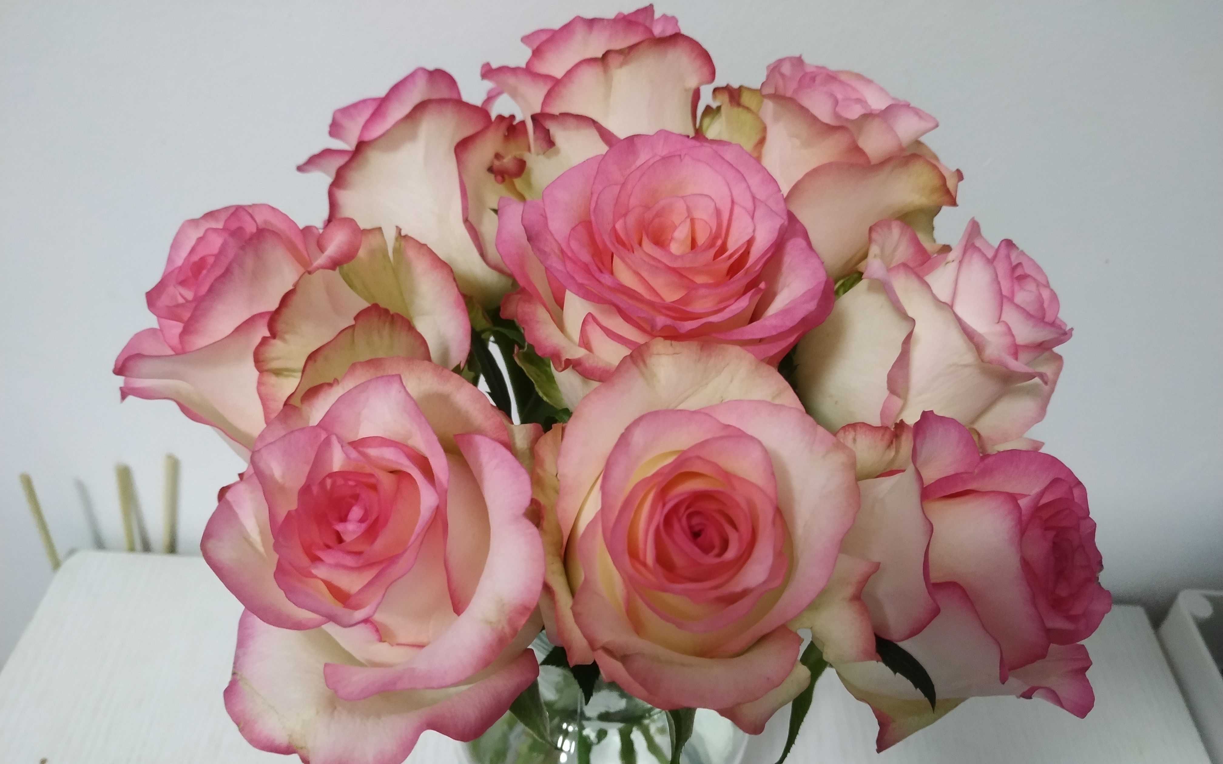 9玫瑰盲盒居然开出了艾莎! 23:52:30