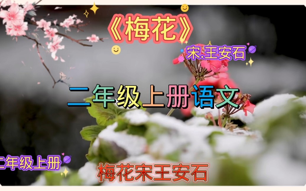 梅花[宋]王安石墙角数枝梅,凌寒独自开.遥知不是雪,为有暗香来. 诗意:墙角的几枝梅花,冒着严寒独自盛开.为什么远看就知道洁白的梅花不是雪呢?...