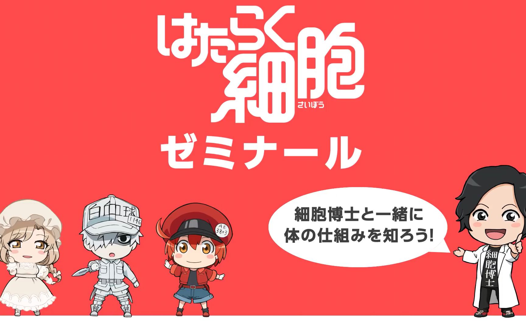 工作细胞小讲座第10回个人中字