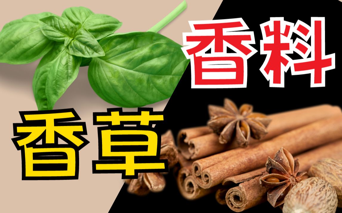 西餐新手必学:香草和香料有什么区别?哔哩哔哩bilibili