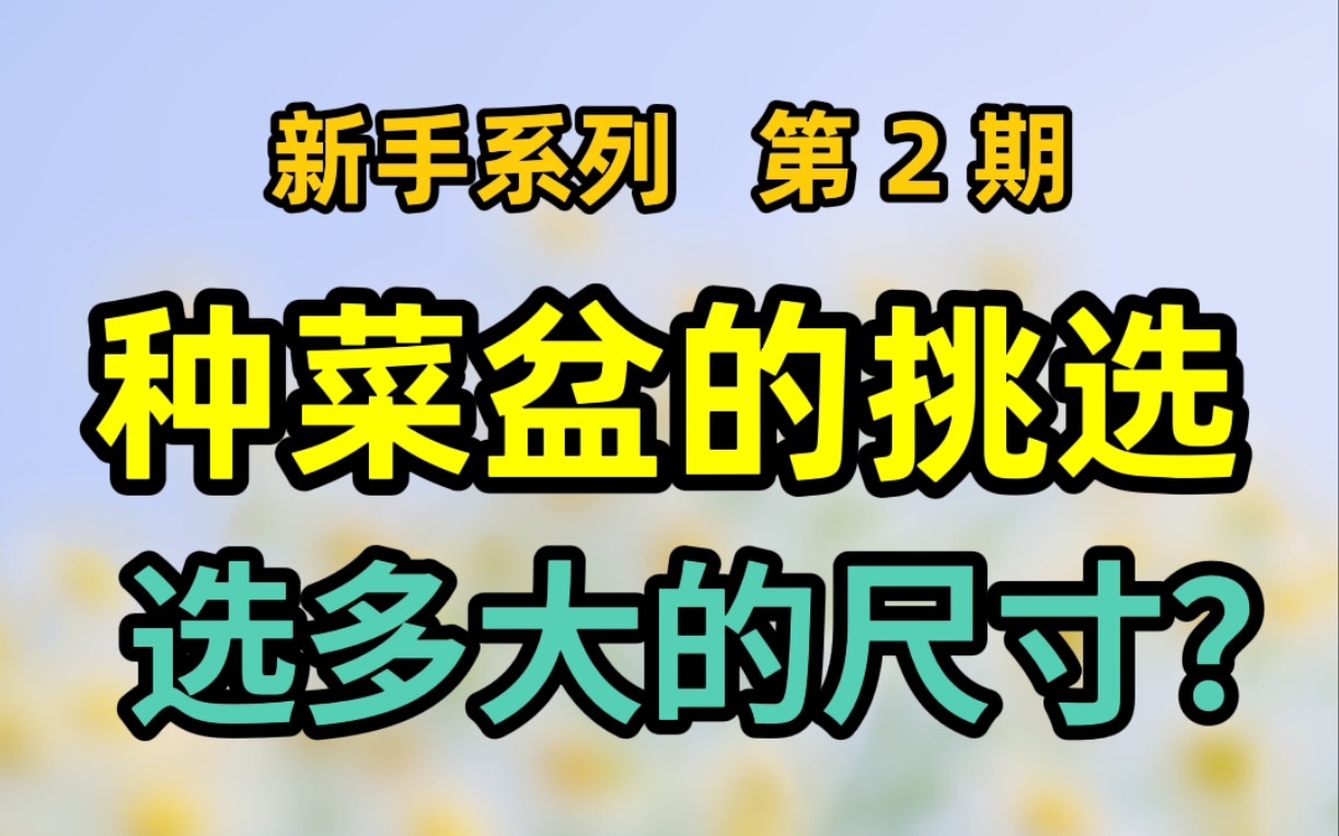 阳台种菜:手把手教会你选盆,尺寸再也不迷茫哔哩哔哩bilibili