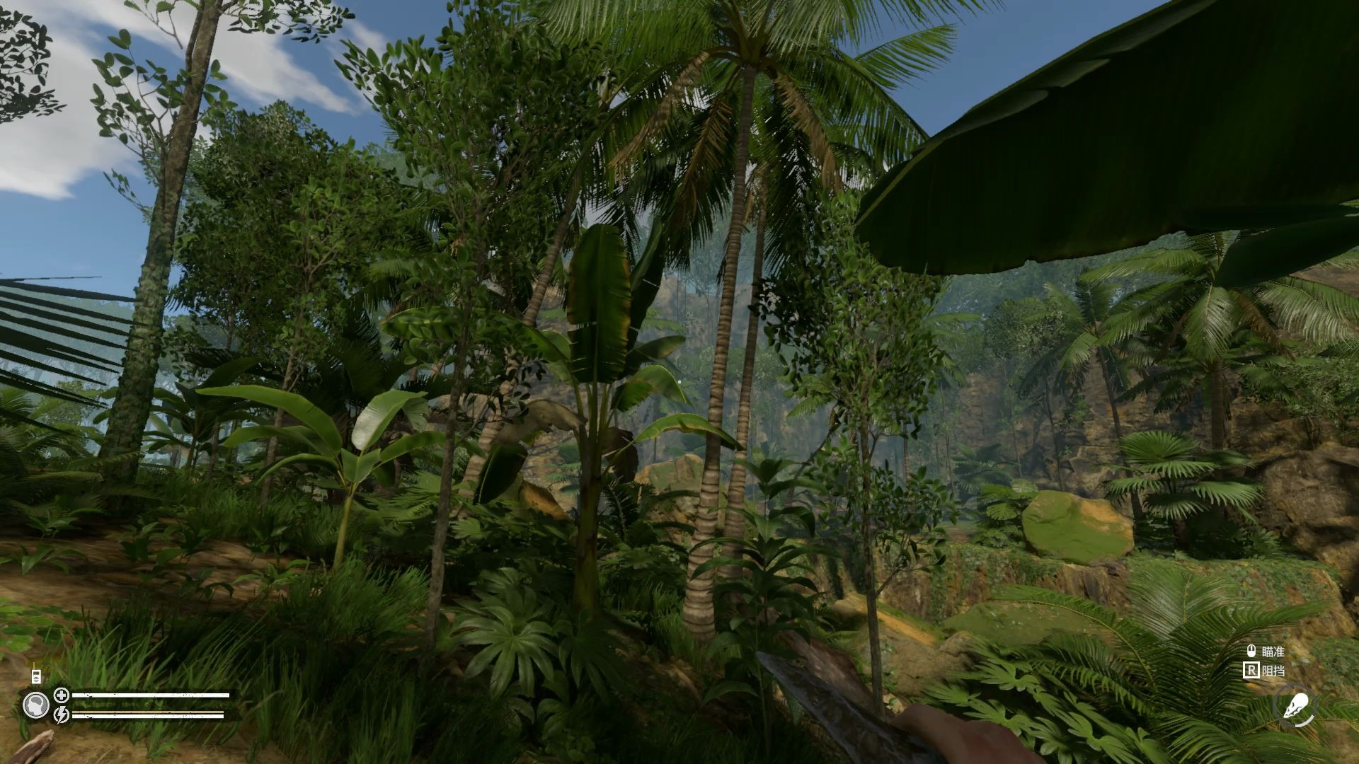 活动作品绿色地狱2重见米娅看见过去