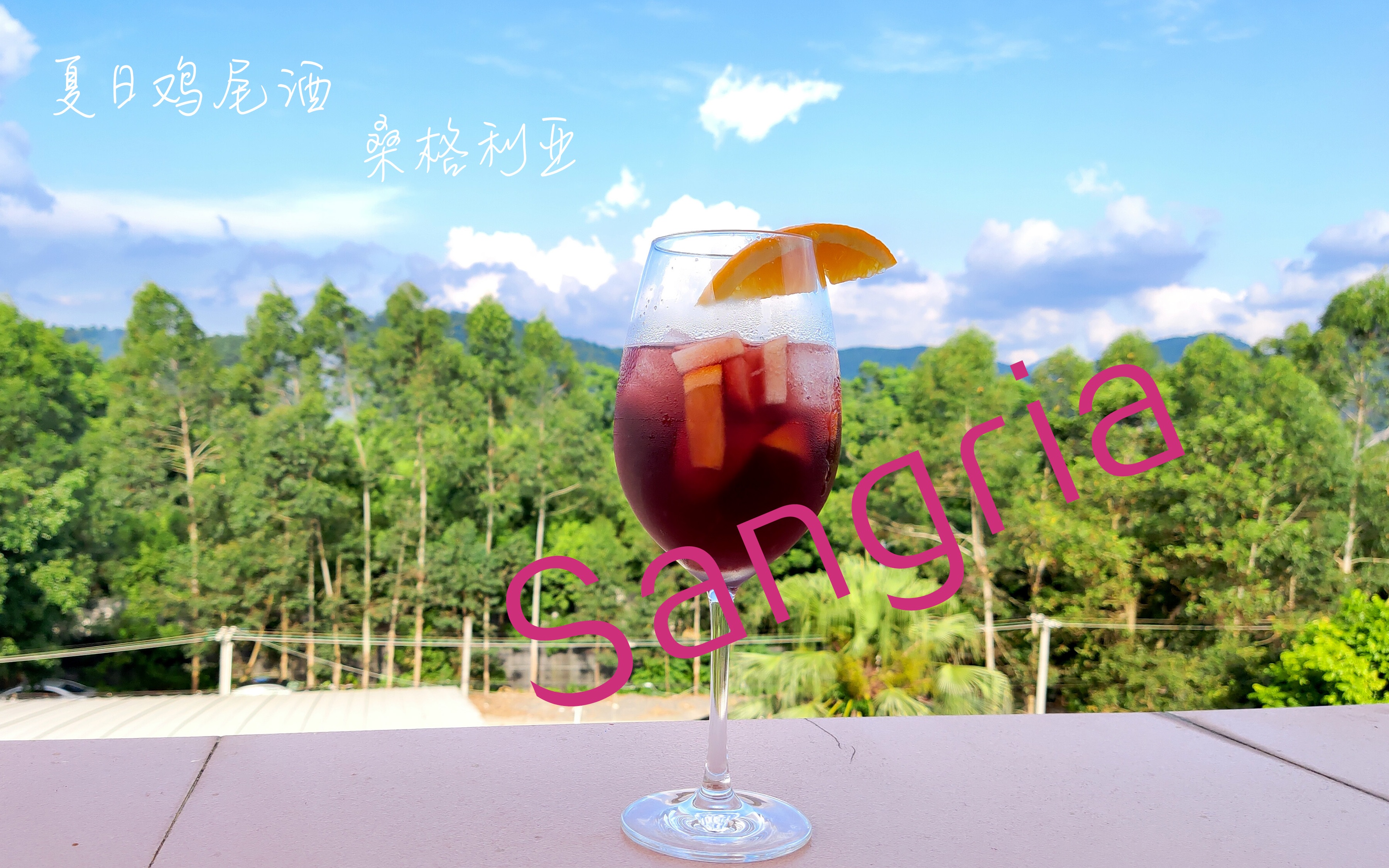 来自西班牙的夏日特饮~Sangria 桑格利亚哔哩哔哩bilibili