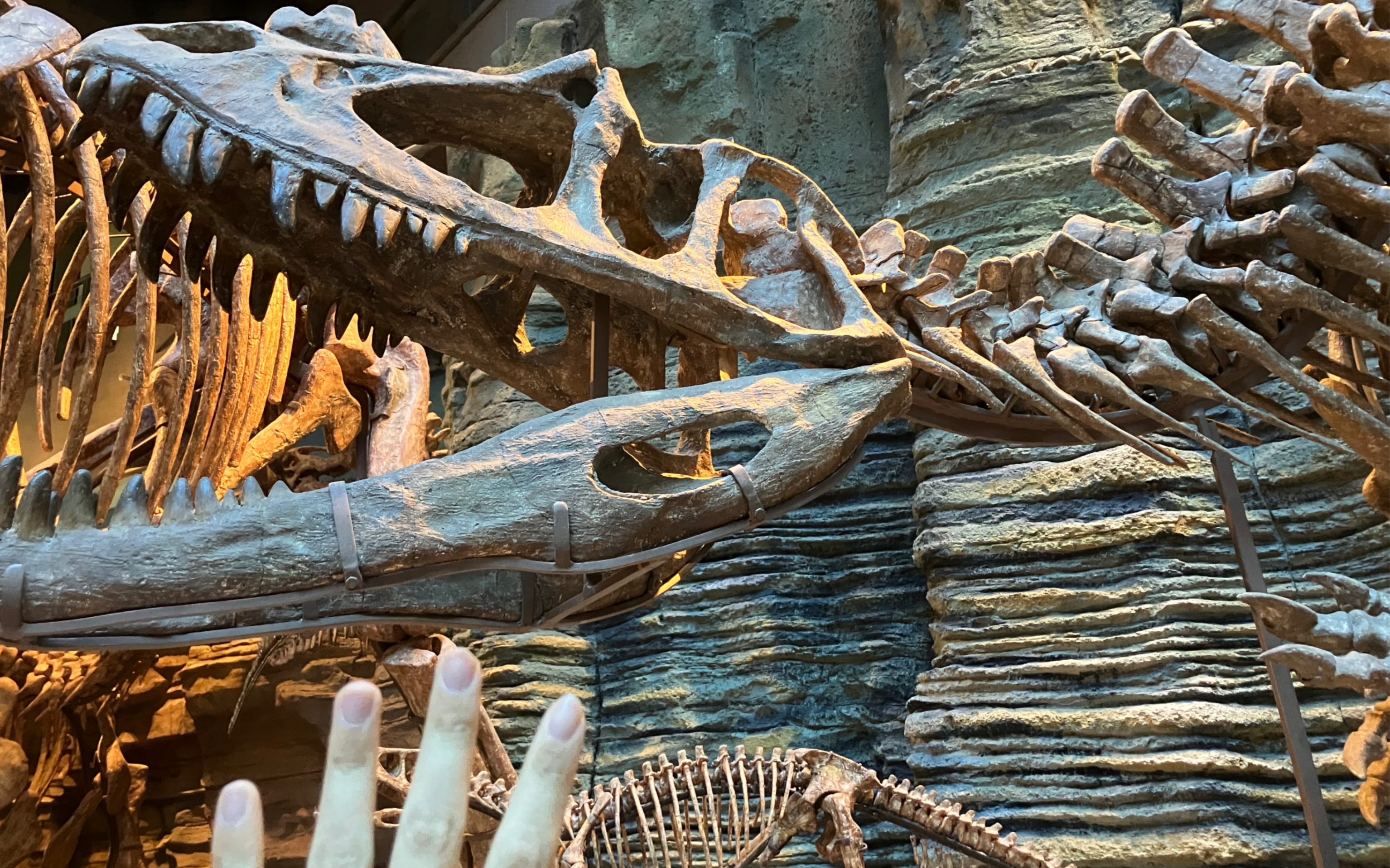 延吉市恐龙博物馆图片