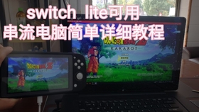 Switch Lite通用串流输出pc简单详细视频教程 哔哩哔哩 つロ干杯 Bilibili