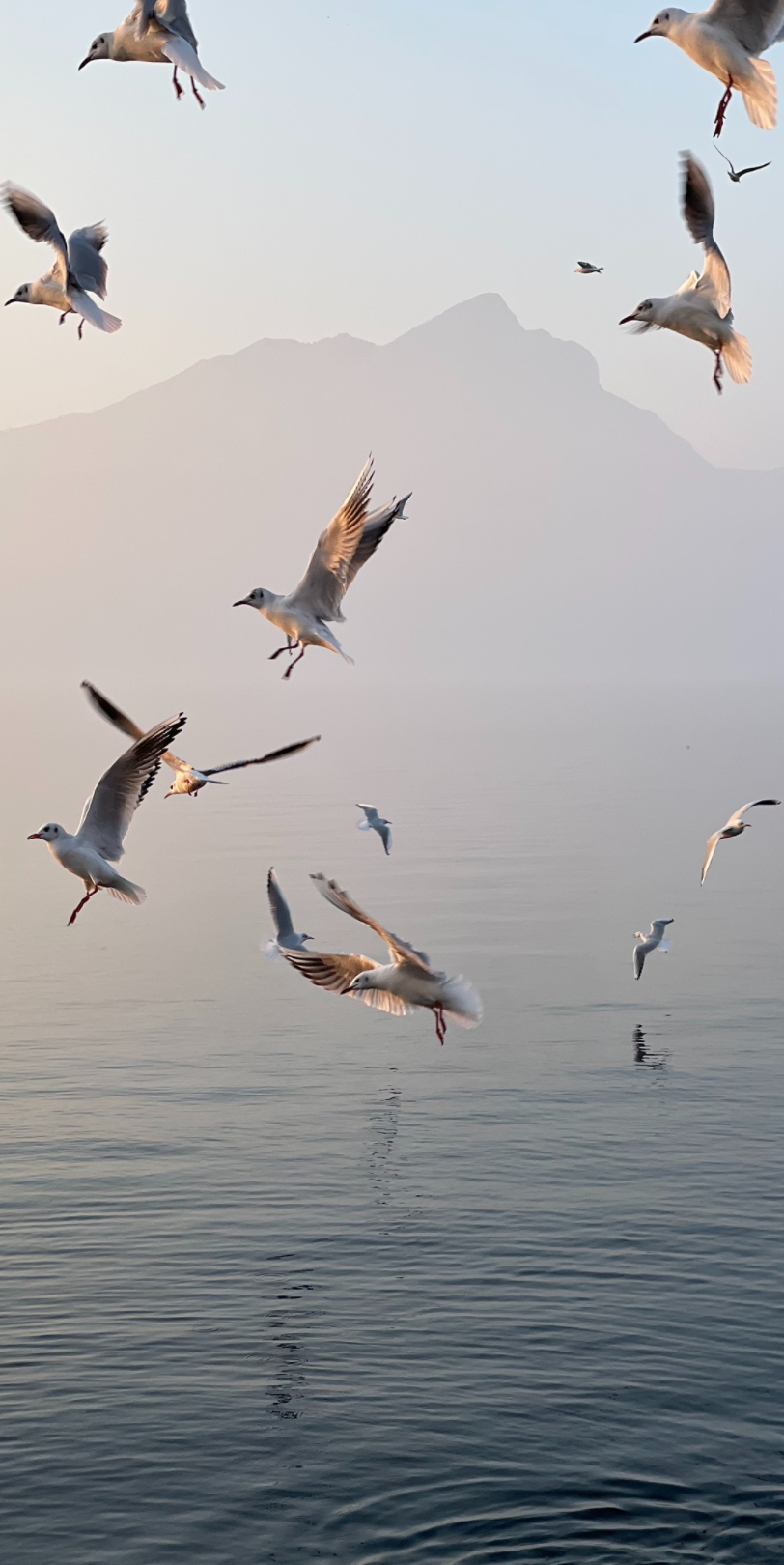一期养眼的风景壁纸 太绝了!
