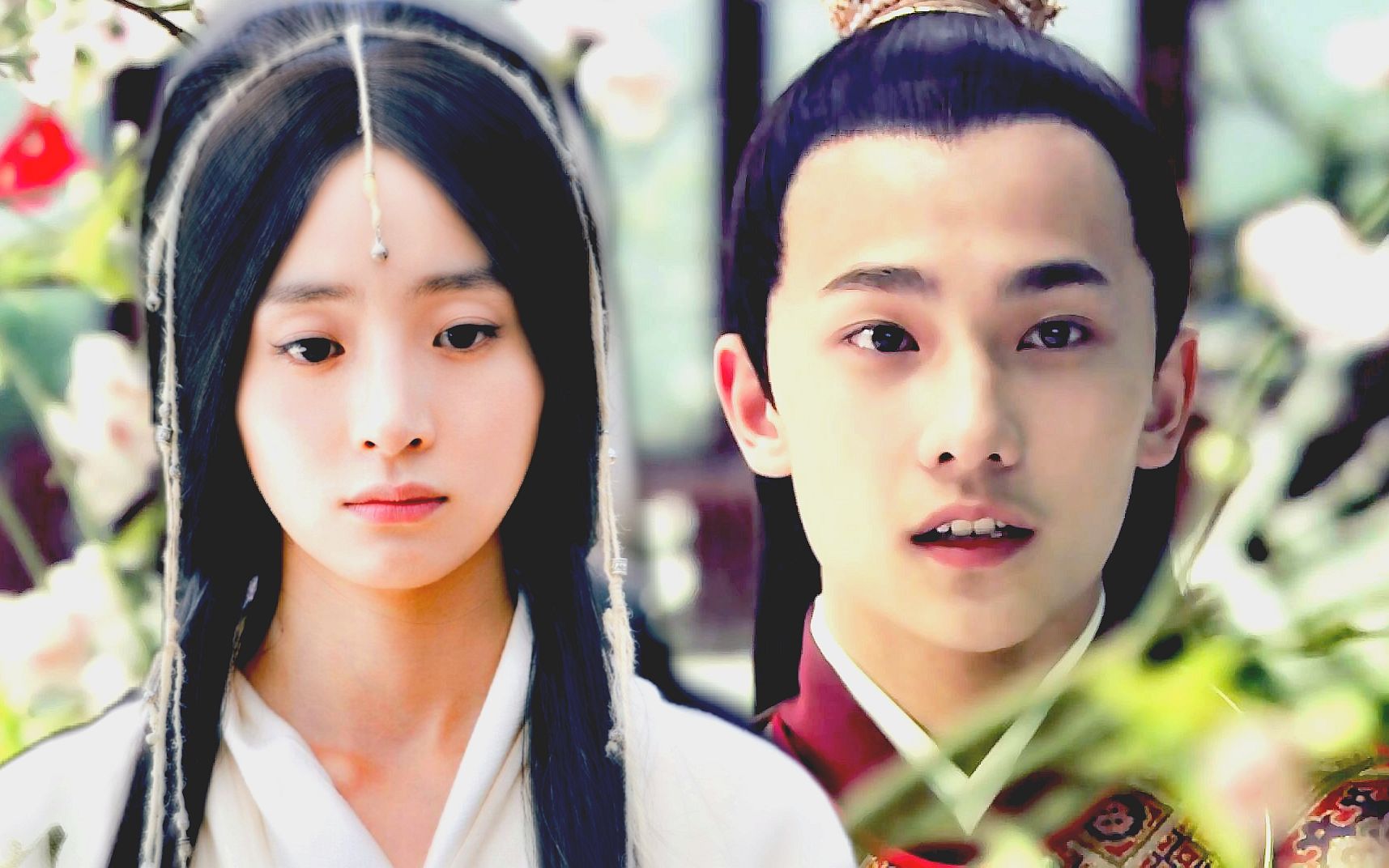 【胡冰卿×杨洋】【高月×宝玉】愿【杨洋】【胡冰卿】无情x高月 白兔