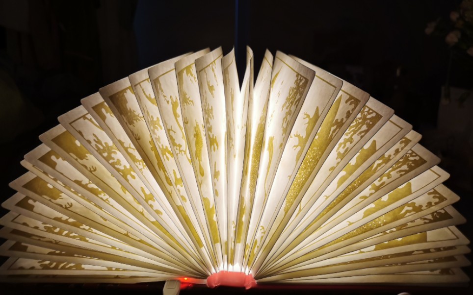 开箱 | 绝美的故宫海错图书本灯开箱 | 古娜拉黑暗之神!(不是)