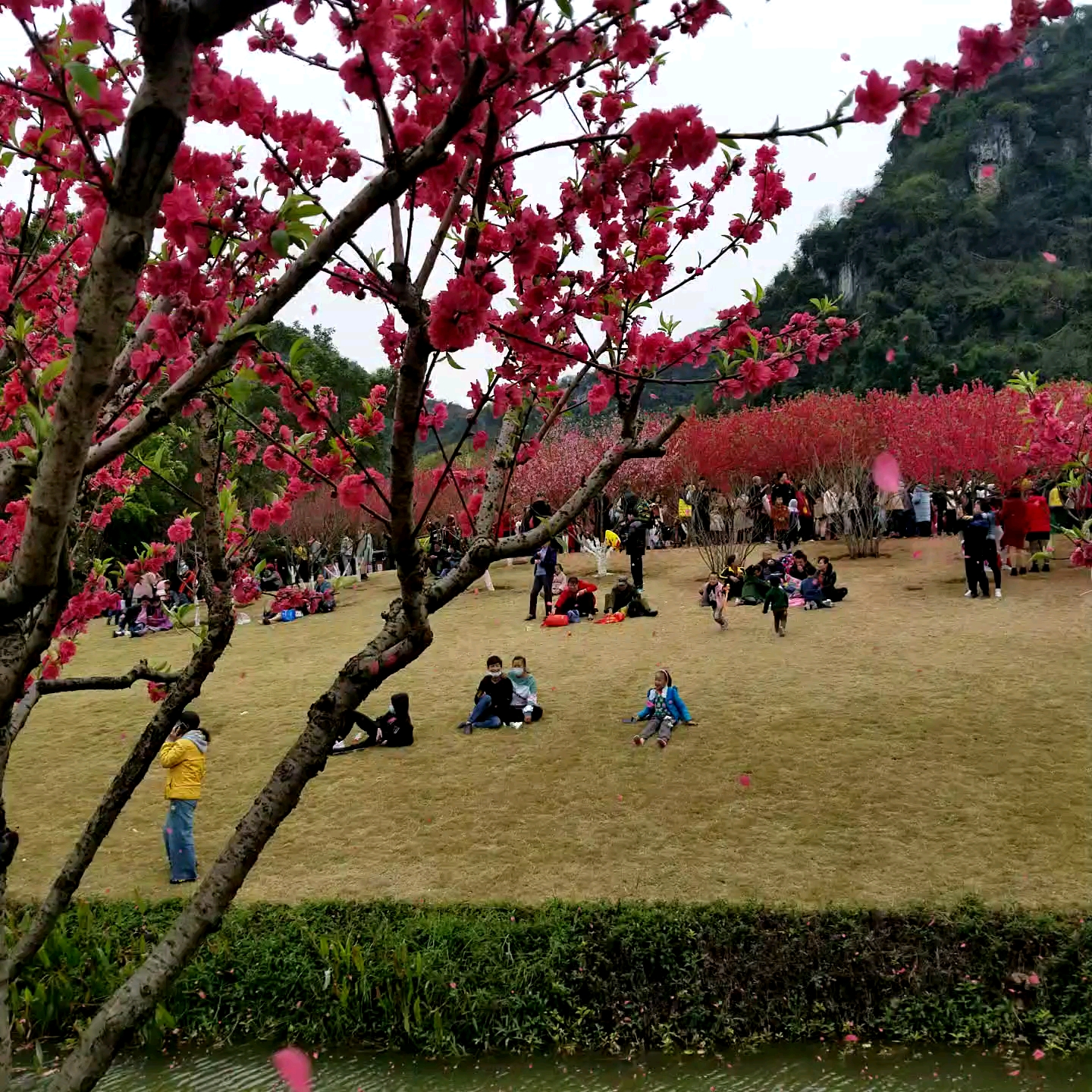 柳州龙潭公园桃花岛