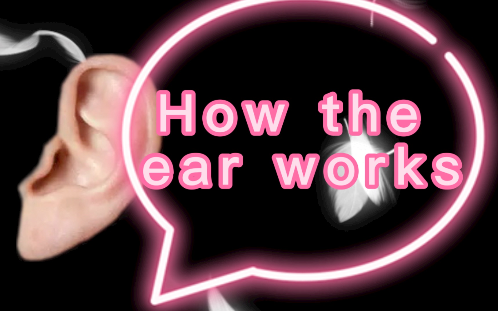 耳朵里的小细毛.how the ear works哔哩哔哩bilibili