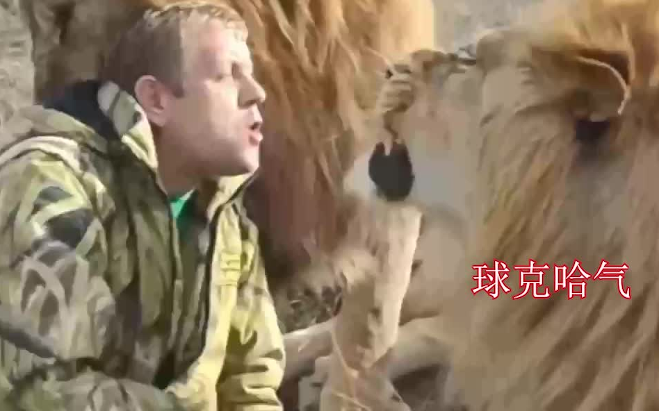 [图]奇克好可爱呀！上去一个滑铲送猫粮