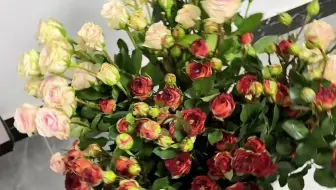 摆摊卖花｜买花是顺路 浪漫是日常