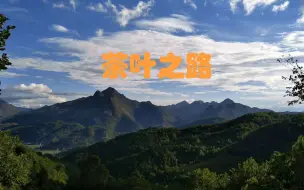 Descargar video: 【纪录片】【茶】【茶叶之路】第二十八集：茗香一握