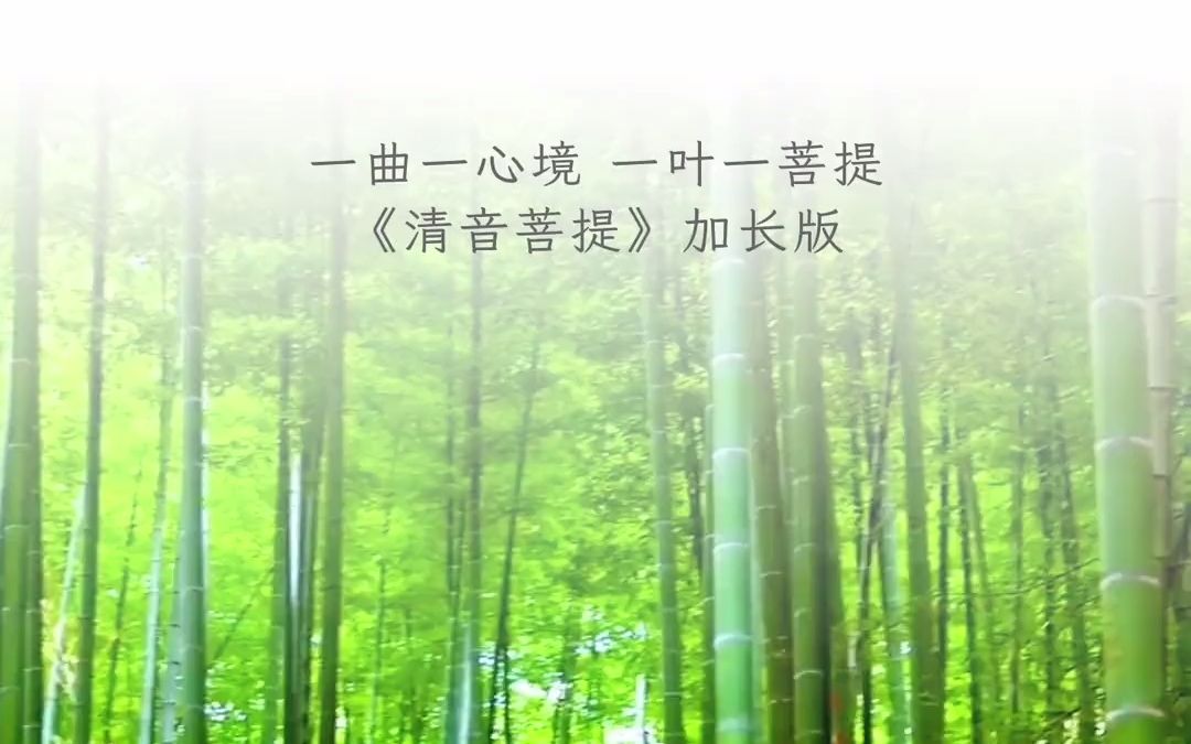 [图]《清音菩提》一曲一心境，一叶一菩提，寂静的心，质朴无限，回归本真，临在当下。静心听曲戒除心中浮躁，感受内心的那份静谧#禅音#佛语禅音#禅乐#静心#心如莲花#放松