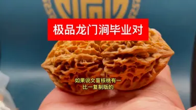 龙门涧核桃-哔哩哔哩_Bilibili