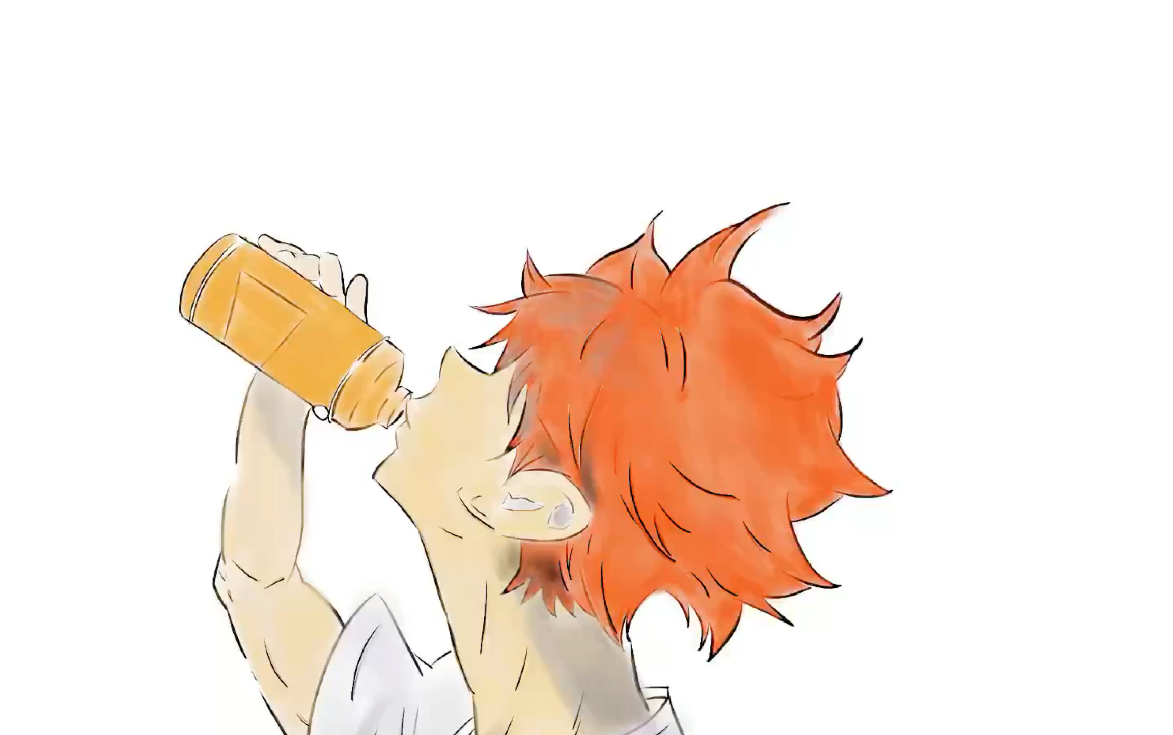 【排球少年】日向翔阳_哔哩哔哩 (゜-゜)つロ 干杯~-bilibili