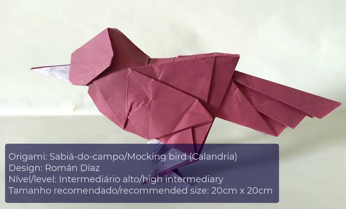 【allan origami】小鸟折纸教程origami sabiá-do-campo (mocking