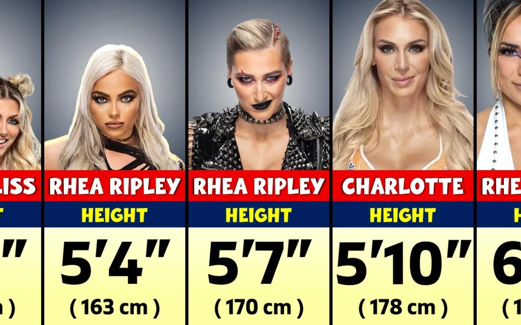 wwe女摔跤明星,身高都是多高,你们知道吗?从低到高