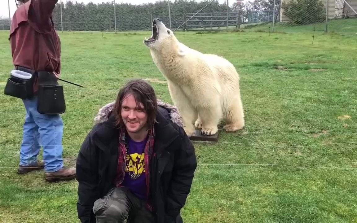 【北极熊】可爱的北极熊阿吉