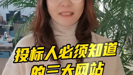 投标人必须知道的网站哔哩哔哩bilibili