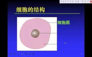 Descargar video: 细胞的基本结构1