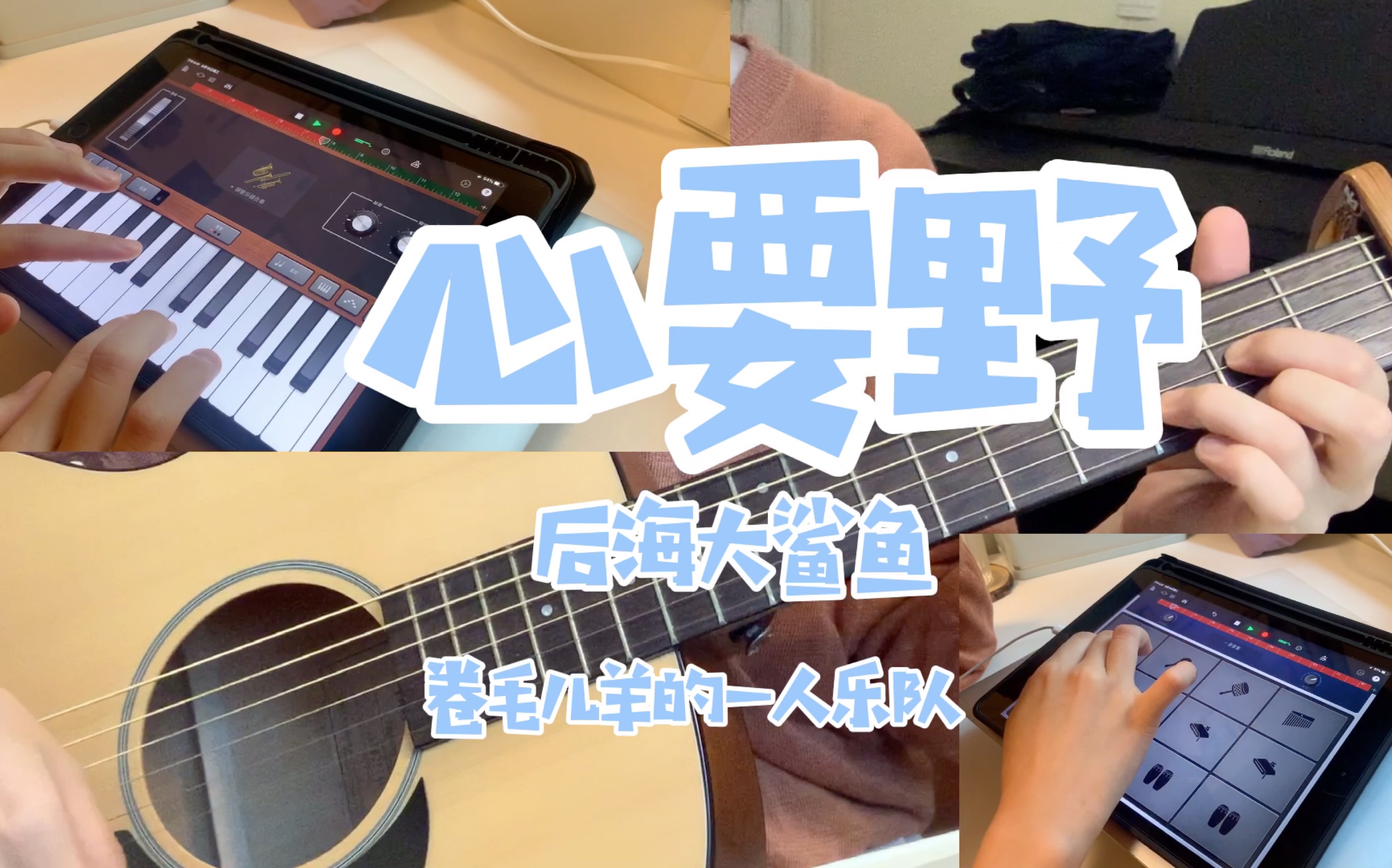 【一人乐队】心要野-后海大鲨鱼(cover)