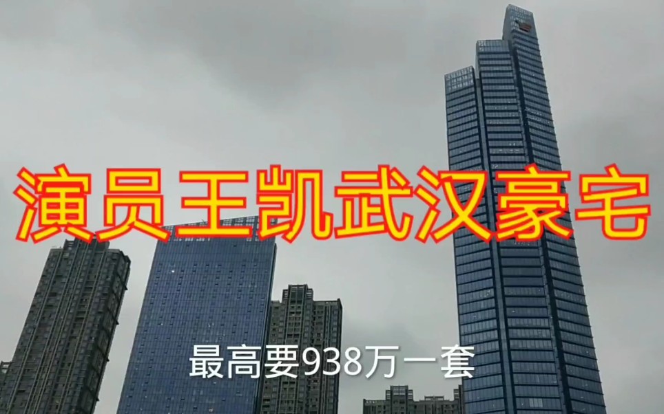 著名演员王凯位于武汉的豪宅,一套房子938万,比很多明星都低调哔哩哔哩bilibili