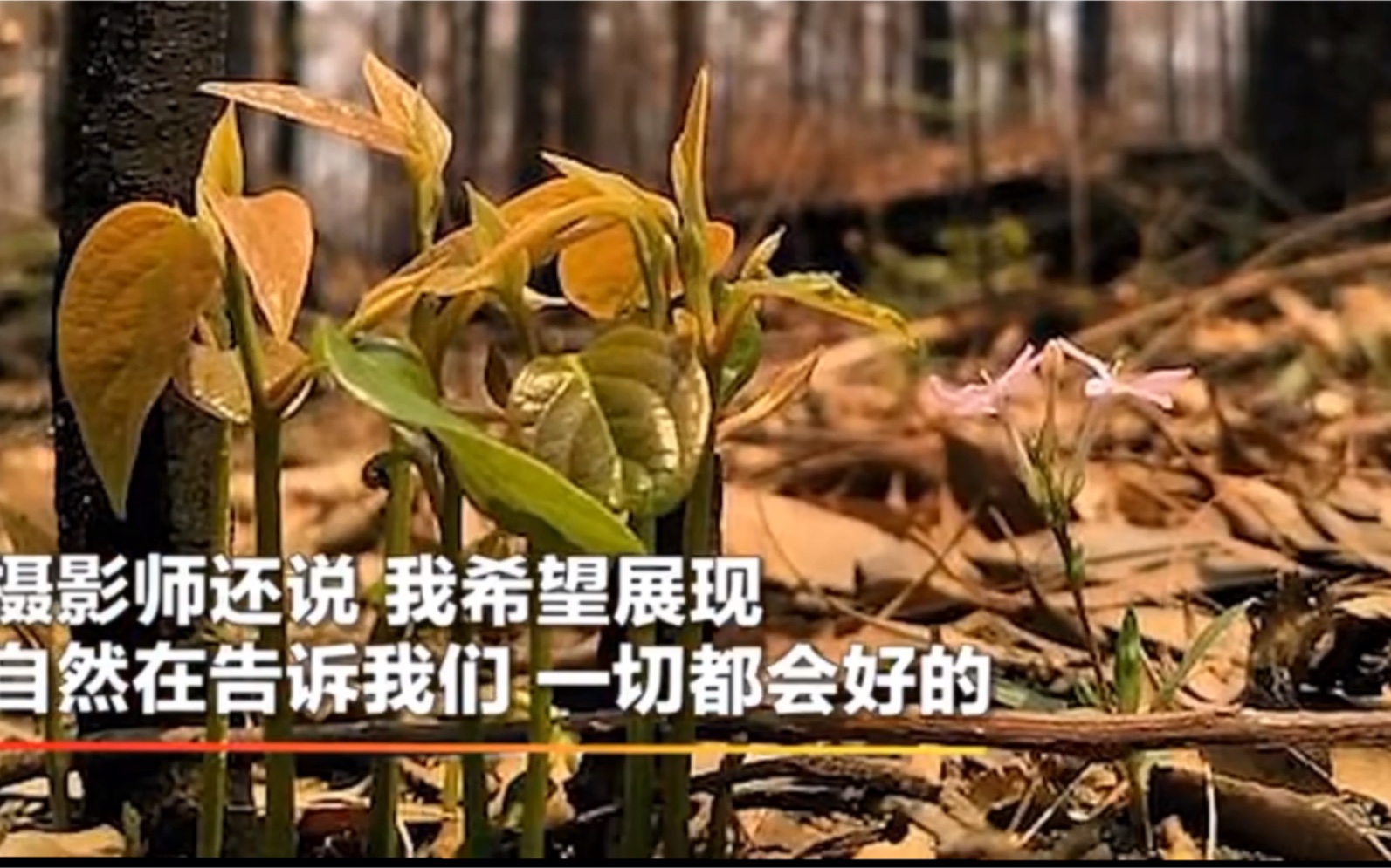 活动  一切都会好起来的