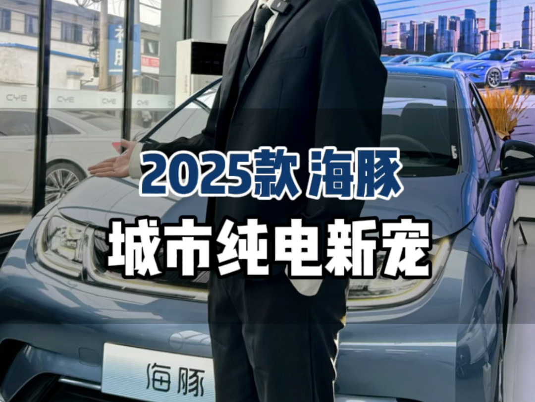 2025款 海豚哔哩哔哩bilibili