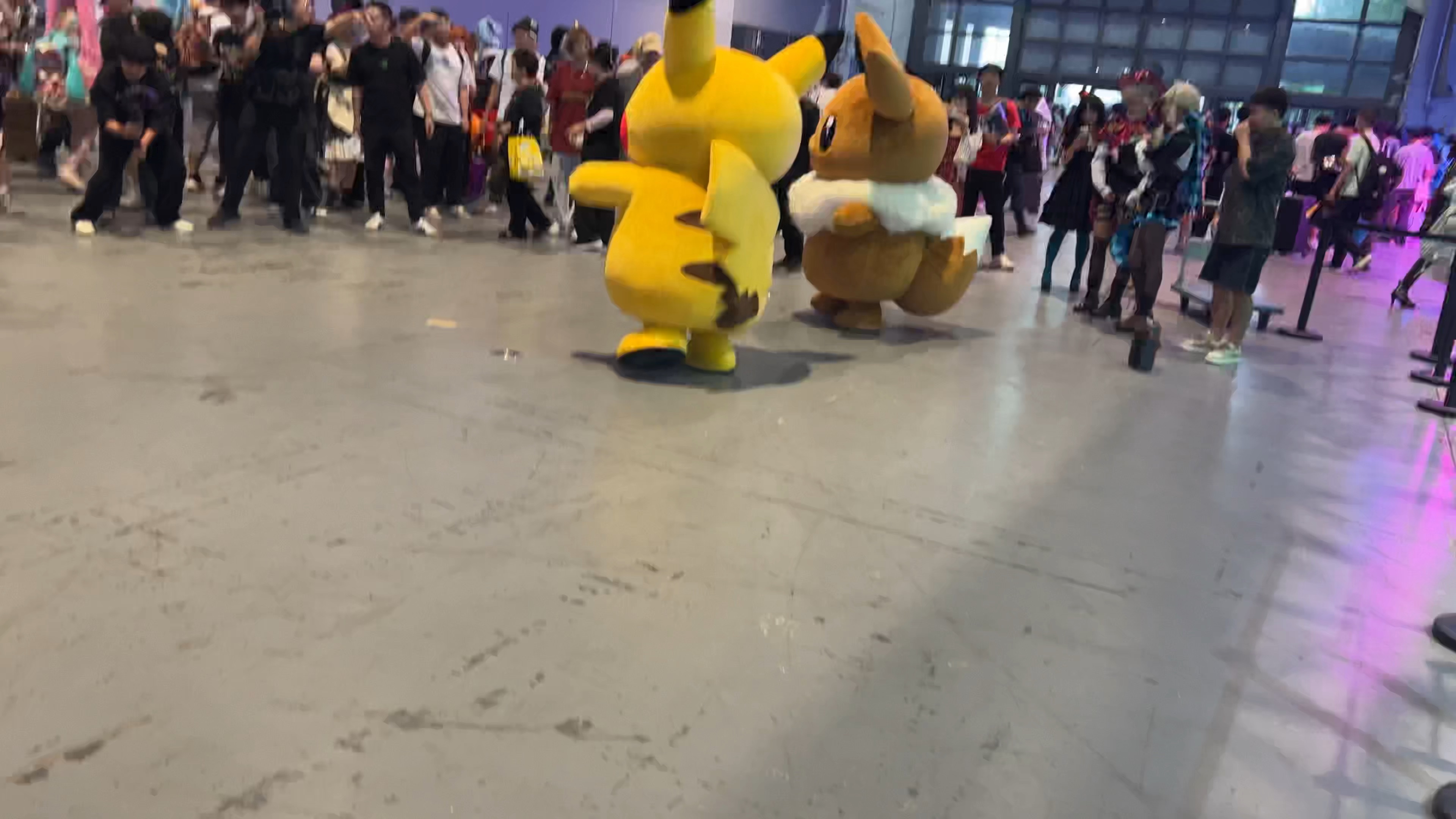 bw超可爱皮卡丘伊布跳舞