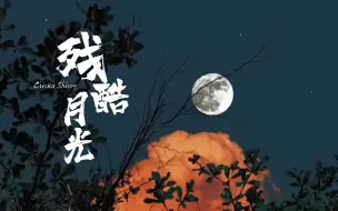 Descargar video: 【卡配罗·残酷月光】“里卡多，我不想再流浪了，带我回家吧。”