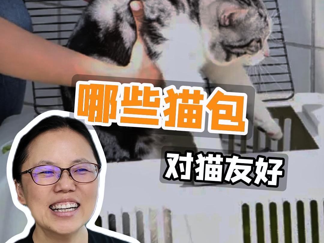 哪些猫包对猫友好哔哩哔哩bilibili