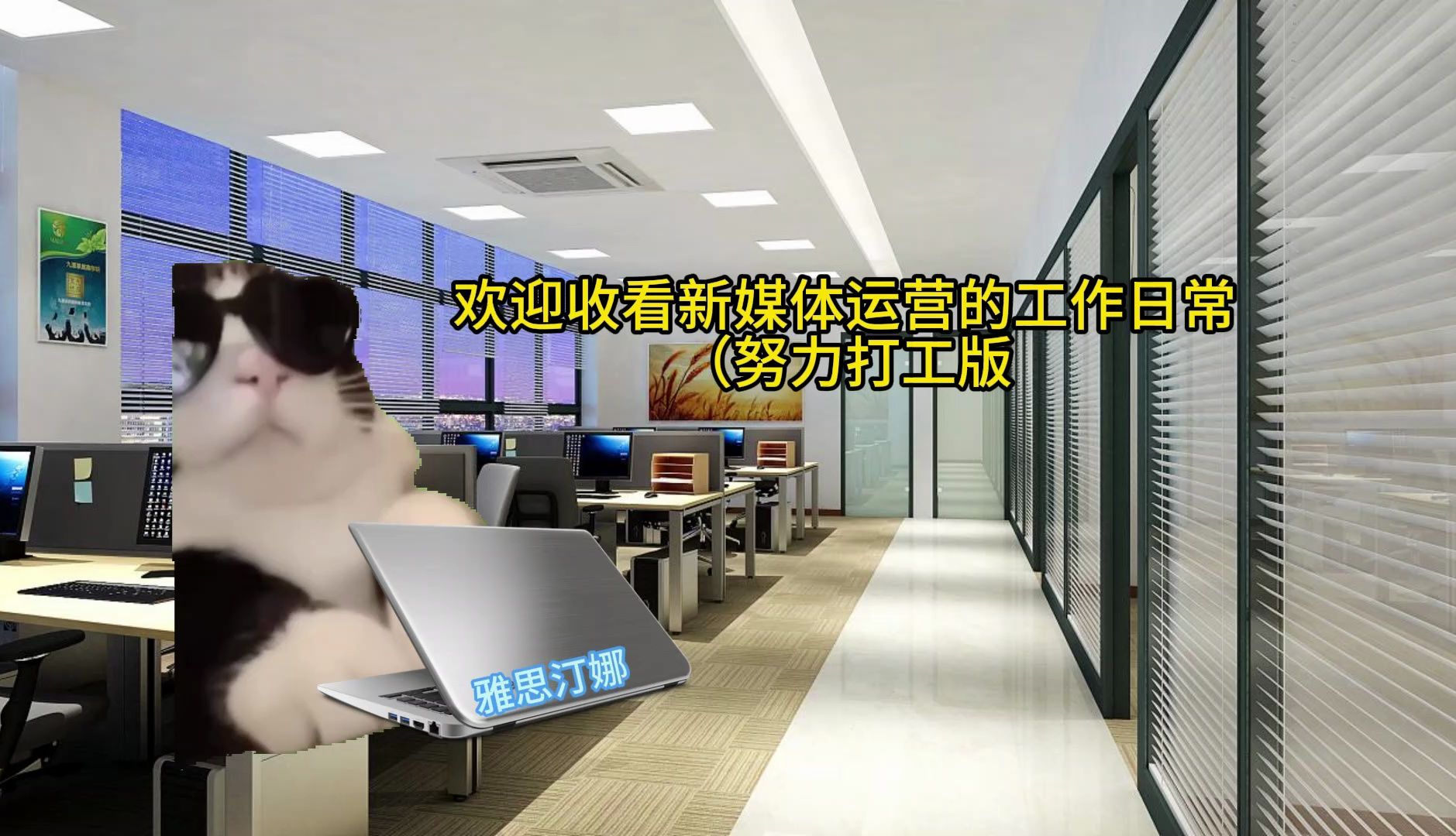 【猫meme】关于00后运营入职三天喜提新电脑这件事哔哩哔哩bilibili