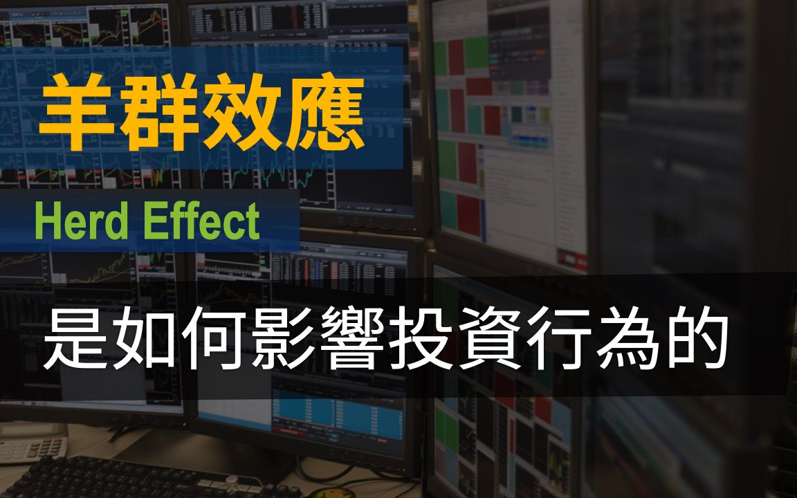 羊群效应ⷲ个经典实验,看看你在投资中是否会犯“羊群”的错哔哩哔哩bilibili